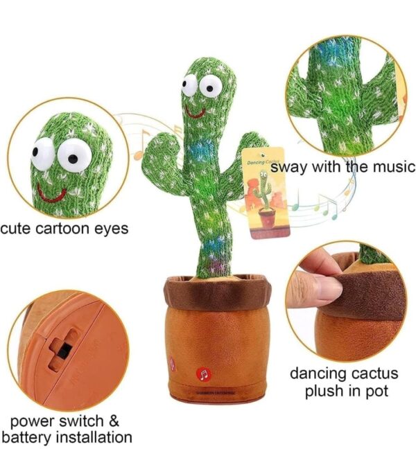 Cactus - Image 2